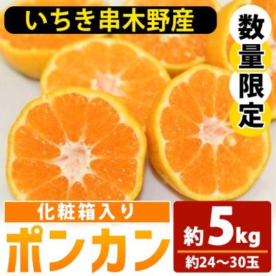 ふるさと納税 いちき串木野市 &lt;先行予約&gt;＼数量・期間限定/池之上果樹園の旬のポンカン化粧箱入り約5kg(約24〜30玉)