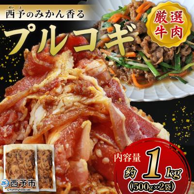 ふるさと納税 西予市 <西予のみかん香るプルコギ 合計 約1.0kg(500g×2)> みかん風味 韓国 牛肉 お肉