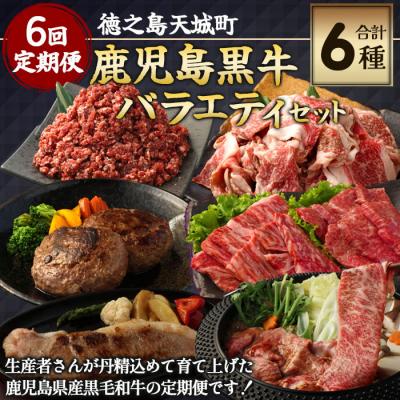 ふるさと納税 天城町 [6回定期便]徳之島 天城町 鹿児島黒牛 バラエティセット 焼肉 すき焼き ステーキ ハンバーグ