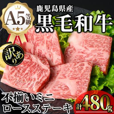 ふるさと納税 曽於市 [訳アリ]和牛ロースミニステーキ(80g×6枚)