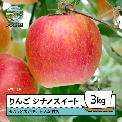 ふるさと納税 大石田町 [先行予約] りんご シナノスイート 約3kg 2026年産 令和8年産 リンゴ