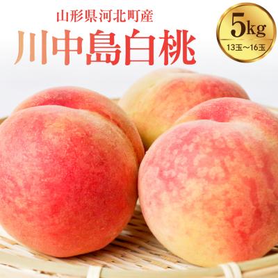 ふるさと納税 河北町 [令和8年産]川中島白桃 5kg(特秀 13玉〜16玉)山形県河北町産