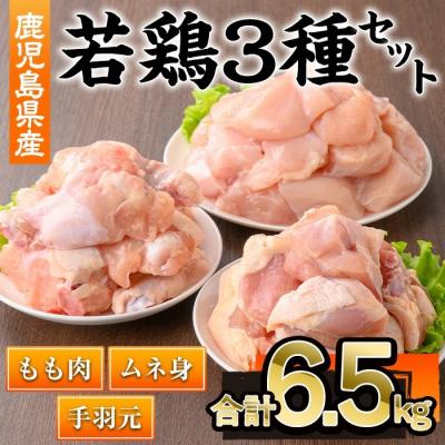 ふるさと納税 曽於市 鹿児島県産若鶏3種セット(計6.5kg)