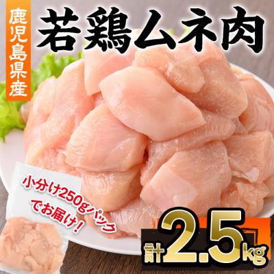 ふるさと納税 曽於市 鹿児島県産若鶏ムネ肉 2.5kg