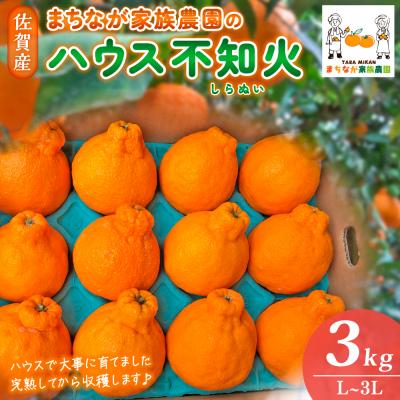 ふるさと納税 太良町 まちなが家族農園のハウス不知火(しらぬい)3kg M64×1