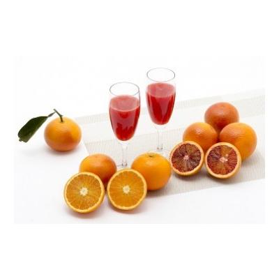 ふるさと納税 太良町 山内農園のブラッドオレンジ 5kg みかん