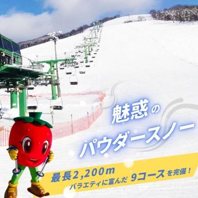 ふるさと納税 比布町 2026〜2027 ぴっぷスキー場1日券(ファミリーパック) |  | 02