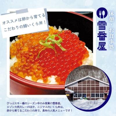 ふるさと納税 比布町 2026〜2027 ぴっぷスキー場1日券(ファミリーパック) |  | 03
