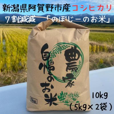 ふるさと納税 阿賀野市 [令和7年産]阿賀野市産コシヒカリ 「のぼじーのお米」 10kg (5kg×2袋) 7割減減