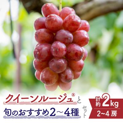 ふるさと納税 東御市 [先行受付2026年発送]クイーンルージュ(R)と旬のおすすめ2〜4種セット(約2kg)|秀果園