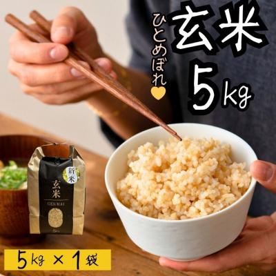 ふるさと納税 関市 [令和7年産]米 ひとめぼれ 玄米 5kg こめ コメ お米