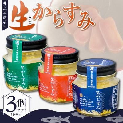 ふるさと納税 天草市 生からすみ40g 3個セット