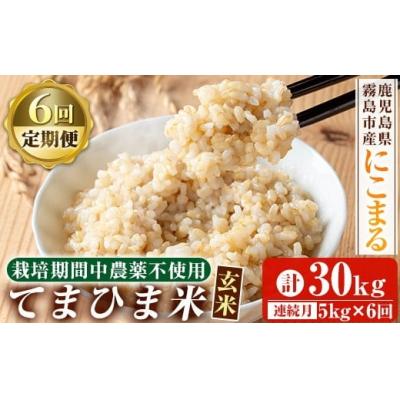 令和7年大分産にこまる玄米30キロ お披露目キャンペーン 高評の為延長6