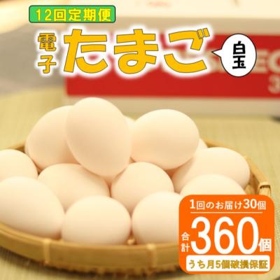 ふるさと納税 薩摩川内市 [12ヶ月定期便]電子たまご(白玉) 合計360個(30個×12回) 卵 たまご ES-610