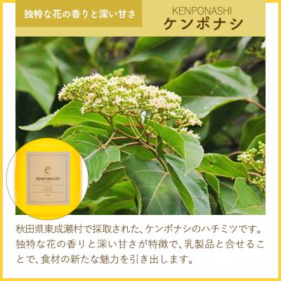ふるさと納税 東成瀬村 はちみつ3個セット(ヒガシナルセ・ケンポナシ・マロニエ プラボトル)|07_bct-060301bの画像