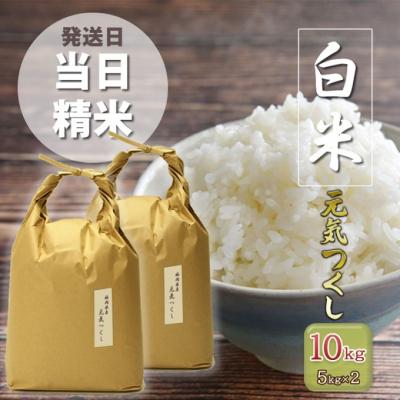 ふるさと納税 小郡市 米 10kg 元気つくし 福岡県産 特A評価 お米 5kg×2袋 白米[No5354-0964]