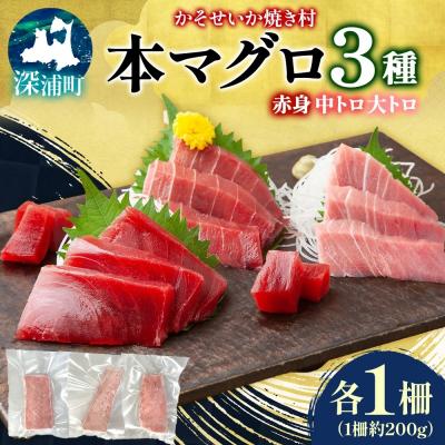 ふるさと納税 深浦町 青森県深浦産天然本マグロ3種(赤身・中トロ・大トロ各1柵)
