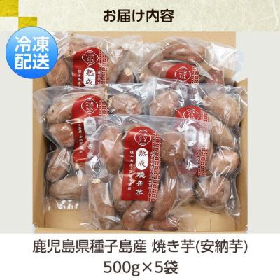 ふるさと納税 いちき串木野市 <訳あり>鹿児島県種子島産冷凍焼きいも(安納芋)一口サイズ約2.5kg(500g×5袋)の画像