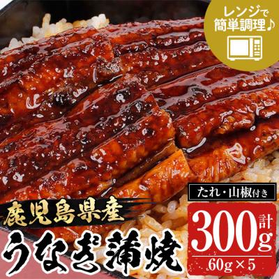 ふるさと納税 いちき串木野市 鹿児島県産うなぎ蒲焼300g(60g×5袋)