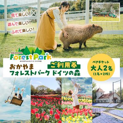 ふるさと納税 赤磐市 おかやまフォレストパーク ドイツの森 大人2名(1名×2枚) 利用券 [NO5765-1188]