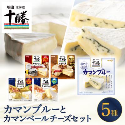 ふるさと納税 芽室町 明治北海道十勝カマンブルー含む5種5個セット me003-118c