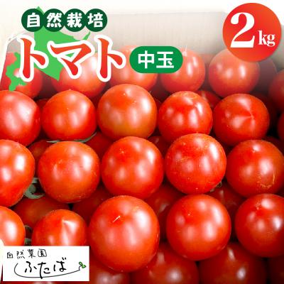 ふるさと納税 芽室町 [先行受付][2026年8月中旬から順次発送]芽室町トマト(中玉) 2kg me074-010c