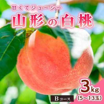ふるさと納税 山形市 山形の白桃3kg(5〜13玉)Bコース[柔らかくなる桃・果肉やや硬] [令和8年産]FS25-632