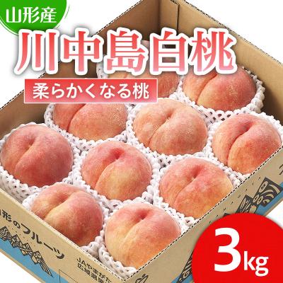 ふるさと納税 山形市 川中島白桃」 秀以上 3kg(8玉〜11玉)[柔らかくなる桃] [令和8年産]FS25-727