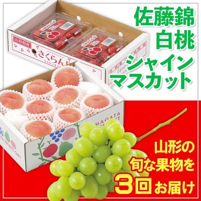 ふるさと納税 山形市 [定期便3回]☆フルーツ王国山形☆佐藤錦・白桃・シャイン[令和8年産]FS25-673