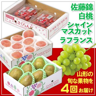 ふるさと納税 山形市 [定期便4回]☆フルーツ王国山形☆佐藤錦・白桃・シャイン・ラフランス [令和8年産]FS25-675