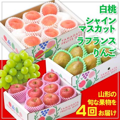 ふるさと納税 山形市 [定期便4回]☆フルーツ王国山形☆白桃・シャイン・ラフランス・りんご [令和8年産]FS24-773