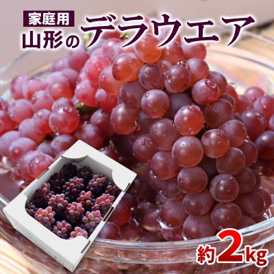 ふるさと納税 山形市 [ご家庭用]山形のデラウエア M〜3L 約2kg[粒サイズおまかせ][令和8年産] FS24-137
