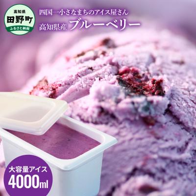 ふるさと納税 田野町 [四国一小さなまちのアイス屋さん]≪松崎冷菓≫大容量アイス 4000ml ★ブルーベリー★