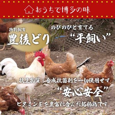 ふるさと納税 糸島市 博多 水炊きセット (約2人前) 糸島市/博多 浜や [AFF036] 水炊き 鍋 |  | 02