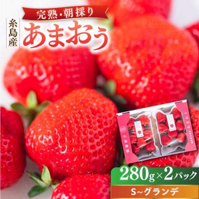 ふるさと納税 糸島市 【農家直送】糸島産 完熟あまおういちご 280g×2P(S-Gサイズ) 小河農園[AJN003] | 