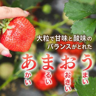 ふるさと納税 糸島市 【農家直送】糸島産 完熟あまおういちご 280g×2P(S-Gサイズ) 小河農園[AJN003] |  | 01