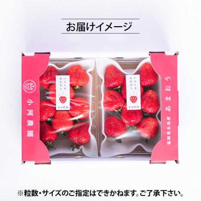 ふるさと納税 糸島市 【農家直送】糸島産 完熟あまおういちご 280g×2P(S-Gサイズ) 小河農園[AJN003] |  | 03