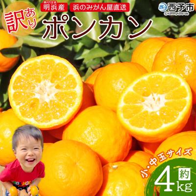 ふるさと納税 西予市 浜のみかん屋直送 ポンカン 訳あり 4キロ 小・中玉(S〜L)