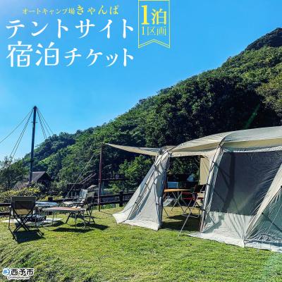 ふるさと納税 西予市 <オートキャンプ場「きゃんぱ」テントサイト宿泊チケット 1泊>1区画 キャンプ キャンピング テント
