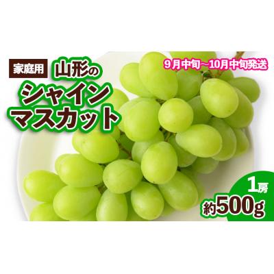 ふるさと納税 山形市 [ご家庭用]山形のシャインマスカット 優品 1房 約500g[令和8年産]FS23-648