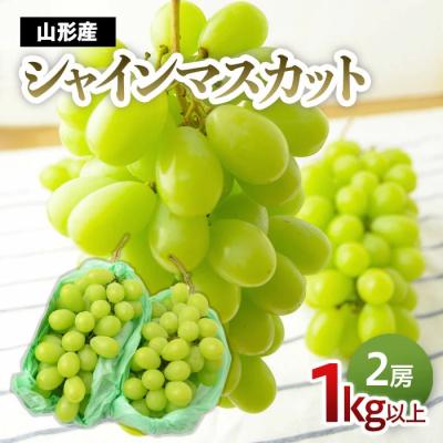 ふるさと納税 山形市 シャインマスカット 1kg以上(2房)[10月中旬〜11月中旬発送] [令和7年産]FS24-574