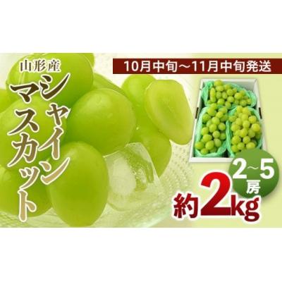 ふるさと納税 山形市 山形のシャインマスカット 秀品 約2kg(2〜5房)[令和7年産]FS24-643