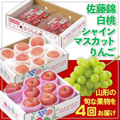 ふるさと納税 山形市 [定期便4回]☆フルーツ王国山形☆佐藤錦・白桃・シャイン・りんご [令和8年産]FS25-674