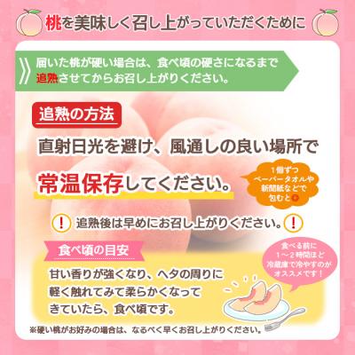 ふるさと納税 山形市 山形の桃(かための桃) 約2kg(4〜9玉) 【令和8年産】FS24-657の画像