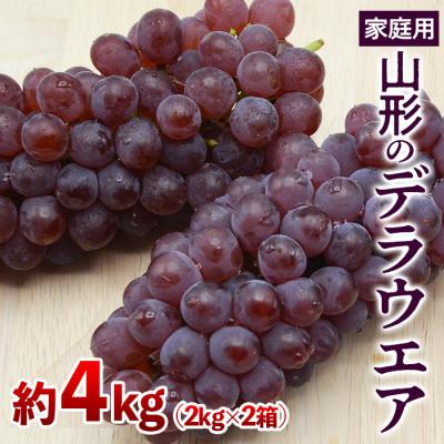 ふるさと納税 山形市 [ご家庭用]山形のデラウエア M〜3L 約4kg(18〜40房)[令和8年産]FS24-570