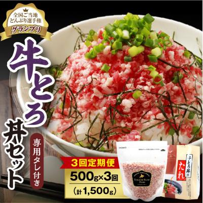 ふるさと納税 清水町 [3回定期便]受賞歴多数!清水町1番人気の牛とろフレーク 500g 専用タレ付き