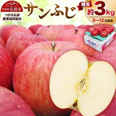 ふるさと納税 弘前市 りんご 贈答規格 サンふじ 約 3kg(9〜12玉程度)|24_thn-040301