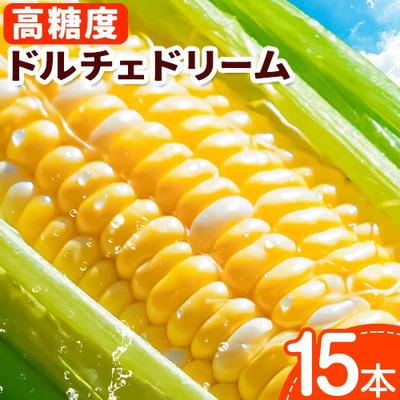 ふるさと納税 当別町 [令和8年発送先行受付]野口農園 高糖度とうもろこし「ドルチェ・ドリーム」