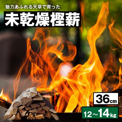 ふるさと納税 天草市 魅力あふれる天草で育った未乾燥樫薪(天樫 長さ36cm 12〜14kg)