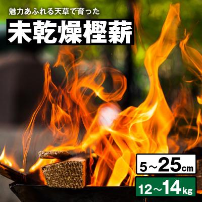 ふるさと納税 天草市 魅力あふれる天草で育った未乾燥樫薪(天樫 5cm〜25cmコロ薪 12〜14kg)